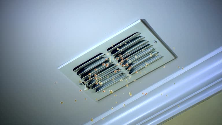 Best Commercial Air Duct Cleaning  in Bloomfield, NM