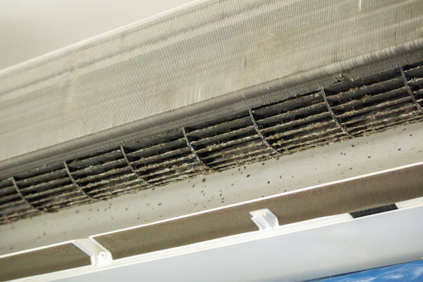 Best HVAC Duct Inspection Services  in Bloomfield, NM