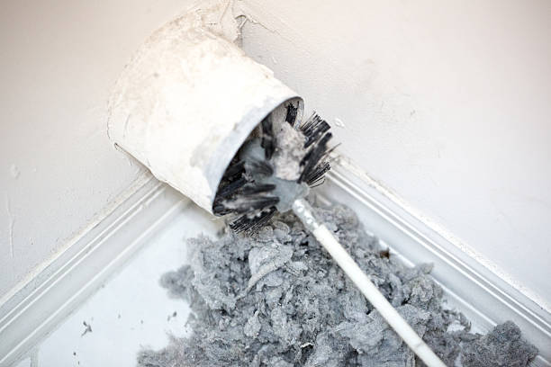 Best Professional Duct Cleaning Services  in Bloomfield, NM